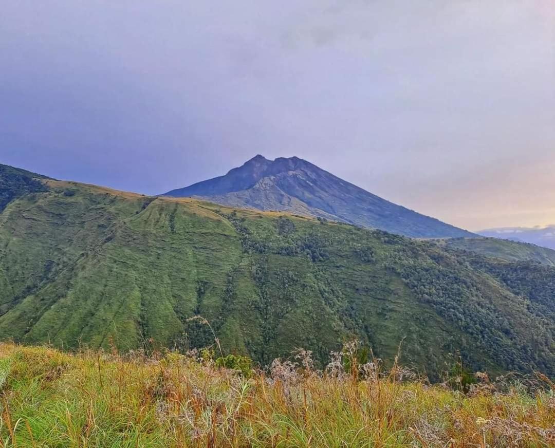 Dira Bungalows Tetebatu Luaran gambar