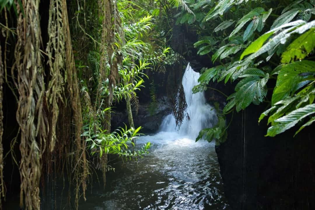 Dira Bungalows Tetebatu Luaran gambar