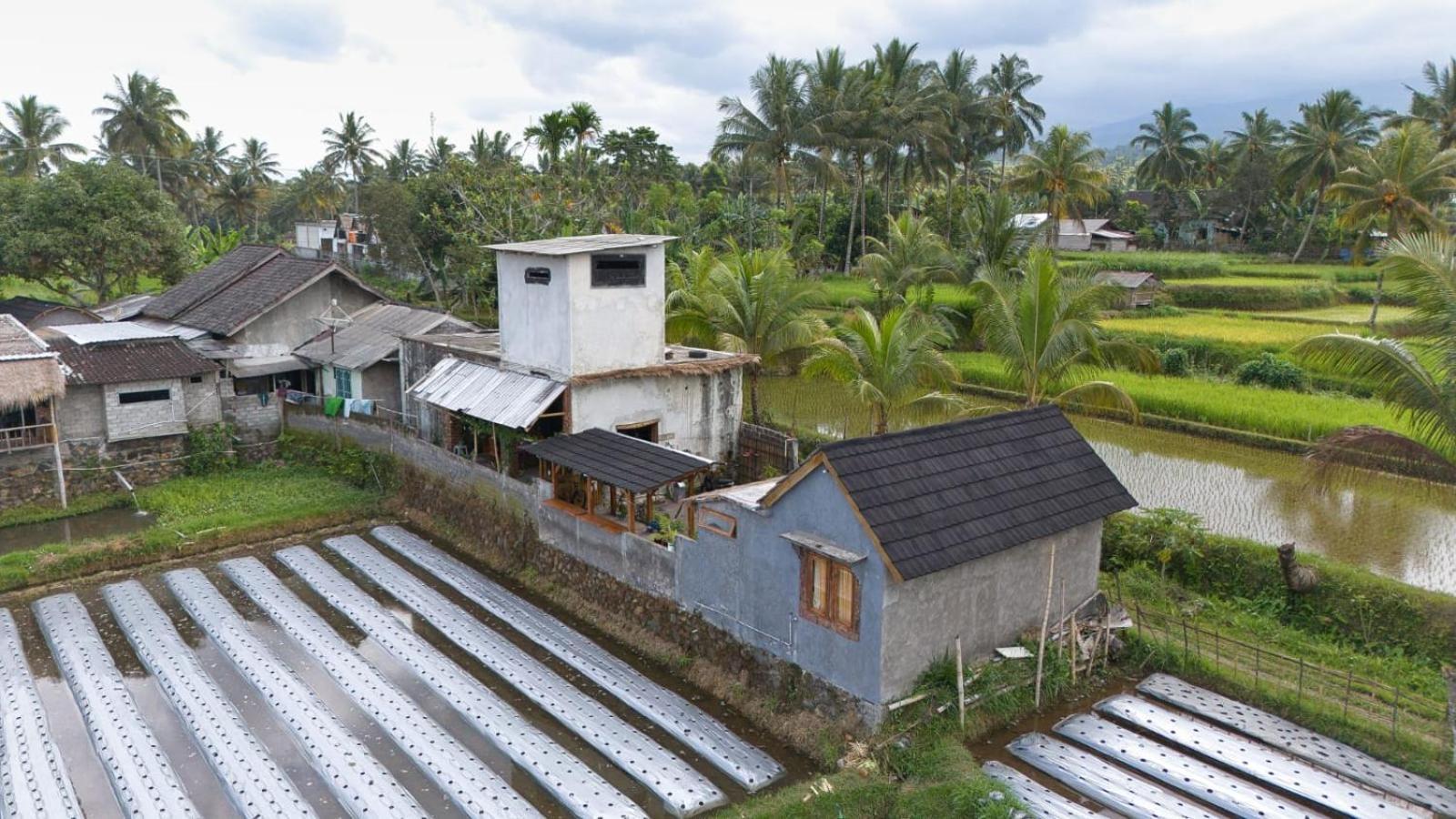 Dira Bungalows Tetebatu Bilik gambar