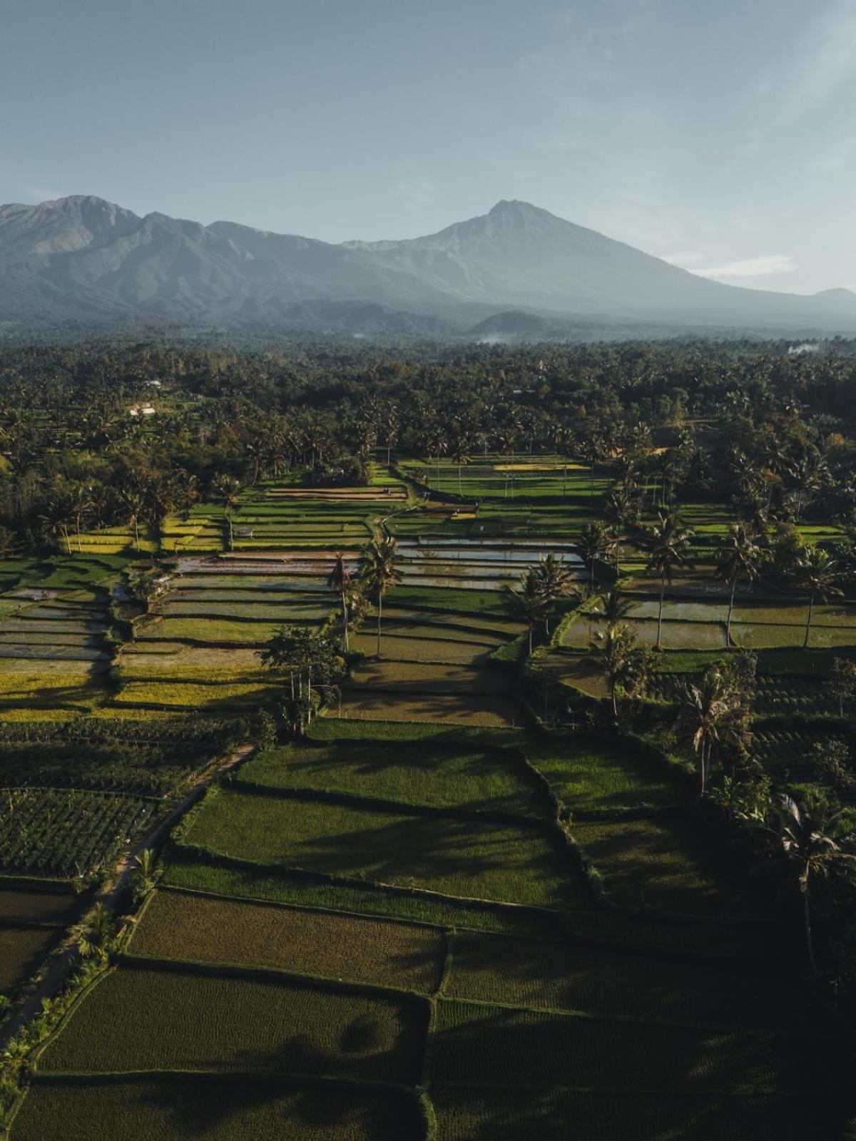 Dira Bungalows Tetebatu Luaran gambar